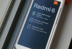 Cara Mengatasi HP Xiaomi Redmi 6 Bootloop Stuck di Logo Atau Mati Paling Mudah dan 100% Work