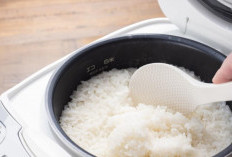 Daftar Spesifikasi Rice Cooker Gratis dari Pemerintah, Buat Masyarakat Kurang Mampu di Daerah yang Sudah Beraliran Listrik 