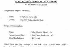 Contoh Surat Pengalaman Kerja Guru TK PAUD, Bisa Menunjang Untuk Melamar Kerja Selanjutnya