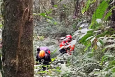 Lebih dari 100 Pendaki Masih Terjebak di Ranu Kumbolo Pasca Kahutla, Pihak TNBTS Terus Berupaya Evakuasi