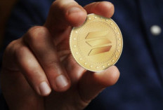 Melejit! Cek Prediksi Harga Solana di Bulan Februari Tahun 2024 Alami Kenaikan? Jadi Angin Segar Untuk Para Investor!
