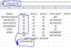 Cara Menghitung Standar Deviasi di Excel dengan Mudah Beserta Contoh Soal