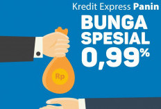 Kelebihan dan Kekurangan Mengajukan KTA di Bank Panin, Gak Jauh Beda dengan KTA Pinjol