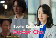 Spoiler Drama Korea Doctor Cha (2023) Episode 13: Pengajuan Cerai Doktor Cha Untuk Suaminya