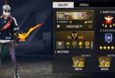 Download Sensitivitas Ruok FF APK dan Cara Setting Auto Headshot Terbaru 2024, Main Jadi Makin GG Gaming!