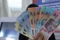 Daftar Pinjaman KUR Tanpa BI Checking Tercepat 2024 Langsung Cair Seketika Tanpa Banyak Survei dan Bunga Rendah 