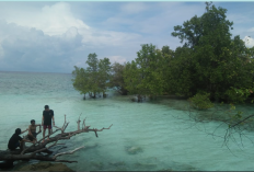 Pesona Pantai Bonebula Donggala yang Tampil Aesthetic, Cocok Untuk Liburan Hingga Spot Foto!