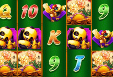 Kode Pola 2-3-2-1 Room Rezeki Nomplok Higgs Domino, Pakai dan Menangkan Super Win Bayi Macan 2B