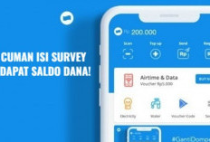Isi Survey Dibayar DANA Hingga Rp 500 Ribu! Cara Dapat Uang Paling Mudah dan Pastinya Aman