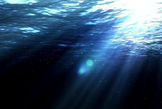 Contoh Soal Menghitung Kedalaman Laut Beserta Rumusnya Lengkap, Belajar Fisika Jadi Makin Gampang!