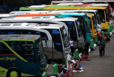 Daftar Agen Bus Pasar Rebo, Jakarta Timur Terbaru 2023, Langsung Kontak Nomor Telepon Disini Untuk Booking