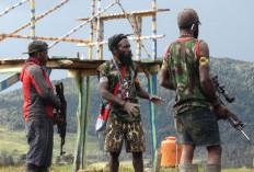 Deklarasikan Pembentukan Provinsi Papua Nemangkawi, Bupati Mimika Mengaku Ingin Daerahnya Seperti DIY atau DKI Jakarta