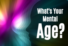 Link Mental Age Test Bahasa Indonesia dan Cara Mainnya, Mau Cobain Ga?