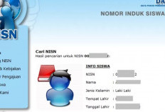 Cara Melihat NISN Siswa Online Untuk Pelajar SD/MI, SMP/MTS, SMA/SMK/MA Yuk Simak di Sini
