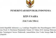 Manfaat Kantongi Izin Usaha Industri OSS, Permudah Pemilihan KBLI dan Investasi Ekonomi yang Baik