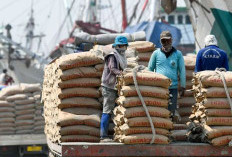 Daftar Harga Bahan Bangunan di Aceh Terbaru 2026: Semen, Besi, dan Pasir yang Kabarnya Tembus Ratusan Ribu per Sak
