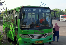 Jadwal Bus Bojonegoro – Nganjuk PP 2024, Hanya Ada 1 Trayek! Ini dia Harga Tiketnya