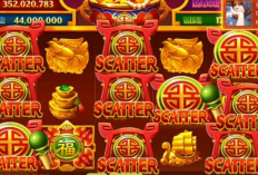 Pola Room Fafafa Higgs Domino Hari Ini, 18 Januari 2024: Langsung Grand Jackpot Secepat Kilat, Berani Coba?
