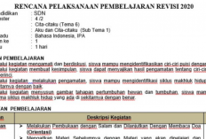 Download RPP Kelas 5 SD/MI Semester 1 Kurikulum 2013 Revisi Terbaru, Lengkap Untuk Semua Tema