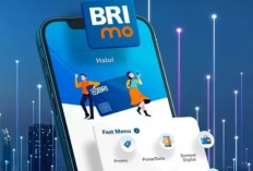 Berapa Lama Pemeliharaan Sistem BRImo? Ternyata Segini Lama Perbaikan Fitur dan Layanannya