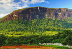 Apa Gunung Tertinggi di Pulau Kalimantan? Ini Dia Daftarnya! Masih Banyak yang Belum Terjamah Manusia