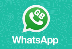 Download WA GB Apk 13.50 Terbaru 2024, Fitur Keamanan dan Fitur Tampilannya Jadi Makin Canggih!