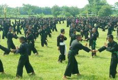 10+ Kata Kata Mutiara Bijak Pesilat PSHT, Bisa di Jadikan Sebagai Pembelajaran Hidup!