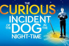 Synopsis The Curious Incident of the Dog in the Night-Time, Roman Policier Populaire de Mark Haddon