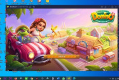 Cara Main Higgs Domino di PC atau Laptop, Unduh Emulator Resminya dan Langsung Coba Main!