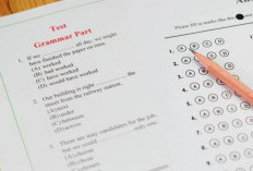 Link Download Soal Tes TOEFL Binus 2023: Soal, Jawaban, dan Pembahasan Lengkap