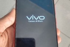 Cara Atasi Hp Vivo Stuck di Logo Mudah dan Tercepat 2023, Pasti Berhasil 100%!