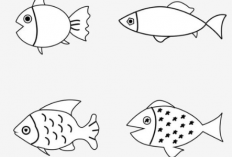 Cara Menggambar Komik Ikan Sederhana Untuk Anak SD, Mudah Diikuti!