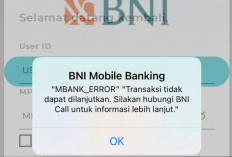 Gangguan Bank BNI Error Hari Ini 2024, Cek Penyebabnya! Ternyata Ada Permasalahan Disini