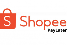 Kenapa Shopee Paylater Tidak Bisa Digunakan Padahal Saldo Cukup? Ternyata Begini Cara Atasinya