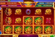 Kabar Maintenance Higgs Domino Hari Ini 14 Februari 2024, Cek Dulu Jam dan Waktunya Sebelum Main!