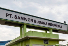 PT Samwon Busana Indonesia Milik Siapa? Ramai Jadi Sorotan Usai PHK Karyawan dan Tutup Pabrik di Jepara