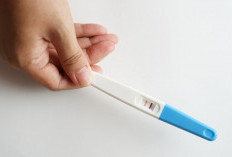 Cara Menggunakan Tespek (Test Pack) yang Benar Untuk Melakukan Uji Kehamilan Akurat 