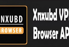 Download Xnxubd VPN Browser Download Video Chrome 2024, Blokir Iklan Bisa Nonton Bokeh!