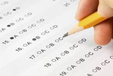 Komponen Ujian Akademik PLN dan Persiapan Sebelum Tes, Latihan Soal Jadi Salah Satu Kuncinya