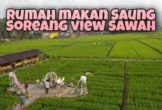 Alamat Lengkap  dan Jam Buka Rumah Makan Saung Soreang Bandung, Menikmati Makanan dengan Suasana Persawahan