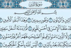 Apa Kandungan dari Surat At Tin? Berikut Penjelasan Lengkapnya!