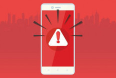Download Zofacego Mod APK Full Version 2024, Gratis! Hack Akun Jadi Gampang Dijamin Gacor