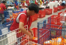 Alamat DC Shopee Jakarta Lengkap Dengan Nomor Kontak, Rute, dan Jam Operasionalnya, Cek Paketmu di Sini 