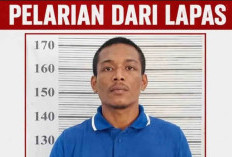 Tampang dan Identitas Napi Kasus Pembunuhan Lapas Ambon yang Kabur, Panjat Pagar Kelabuhi Petugas!