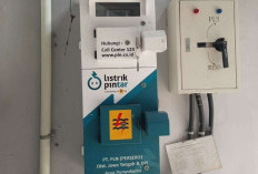 DISKON 50%, Cek Tarif Listrik PLN Terbaru per kWh November-Desember 2025: Langsung Daftar di Sini! 