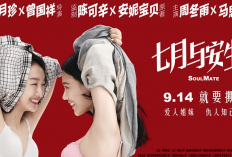 Link Nonton Film China SoulMate (2016) SUB INDO Full Movie HD, Hubungan Persahabatan yang Renggang Akibat Percintaan