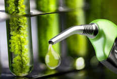 Penggunaan Bioetanol Untuk BBM Bisa Menekan Emisi Karbon Akan Digunakan di Indonesia?