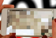 Video 8 vs 1 Malang Viral Bocor di Telegram, Apa Isinya? Waspada Link Phising, Kini Ramai jadi Buruan Netizen!