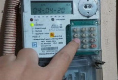 Cara Menghungi PLN Saat Token Listrik Diblokir, Secara Langsung dan Tidak Langsung 
