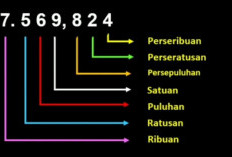 Cara Membandingkan 2 Bilangan yang Memiliki Nilai Tempat dan Cara Mengurutkan Bilangan